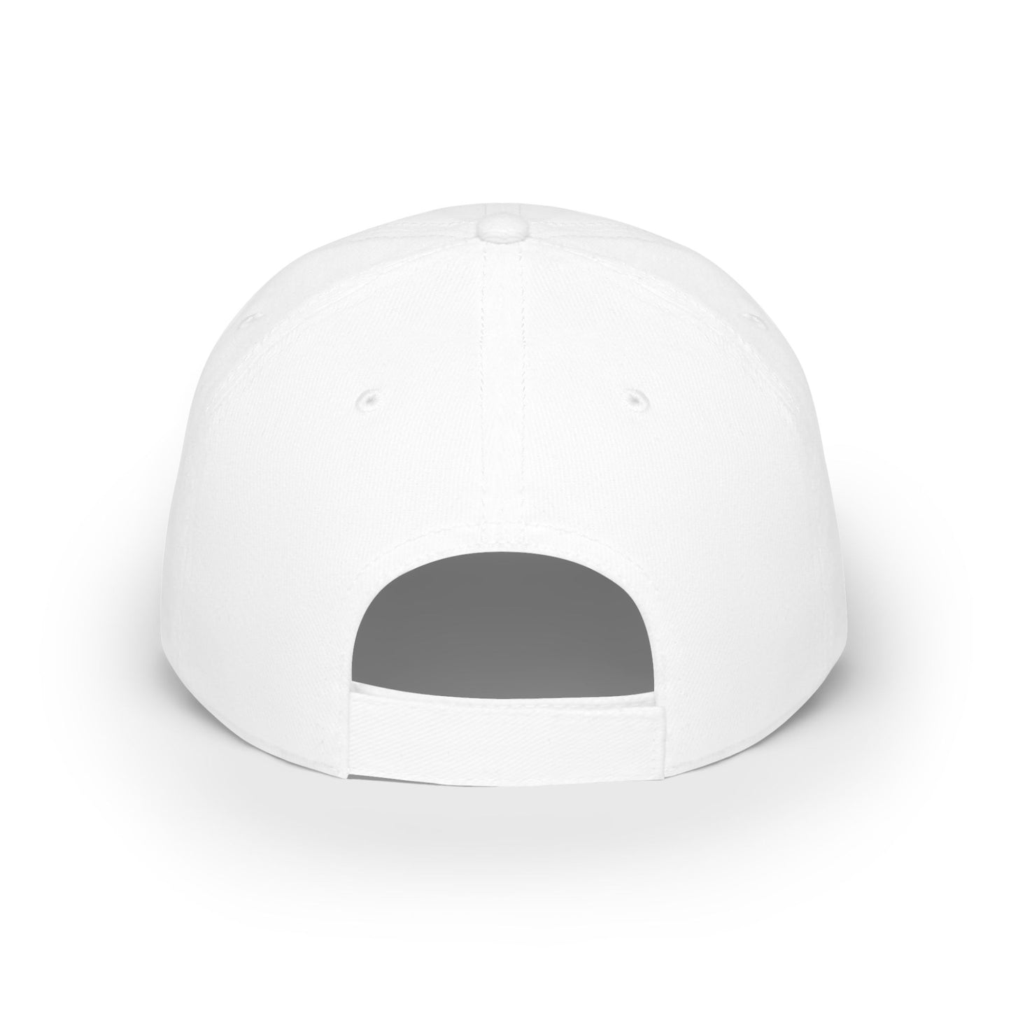 310 Low Profile Baseball Cap