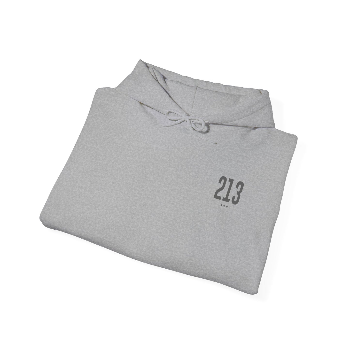 213 Hoodie