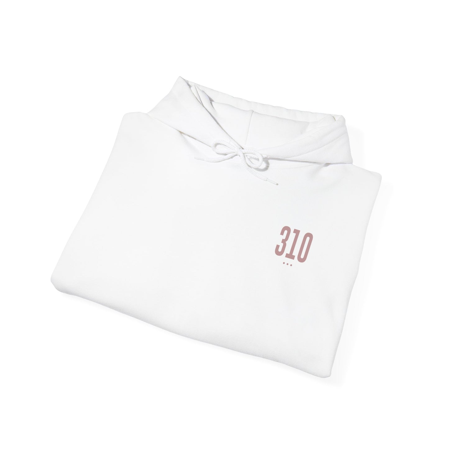 310 Hoodie