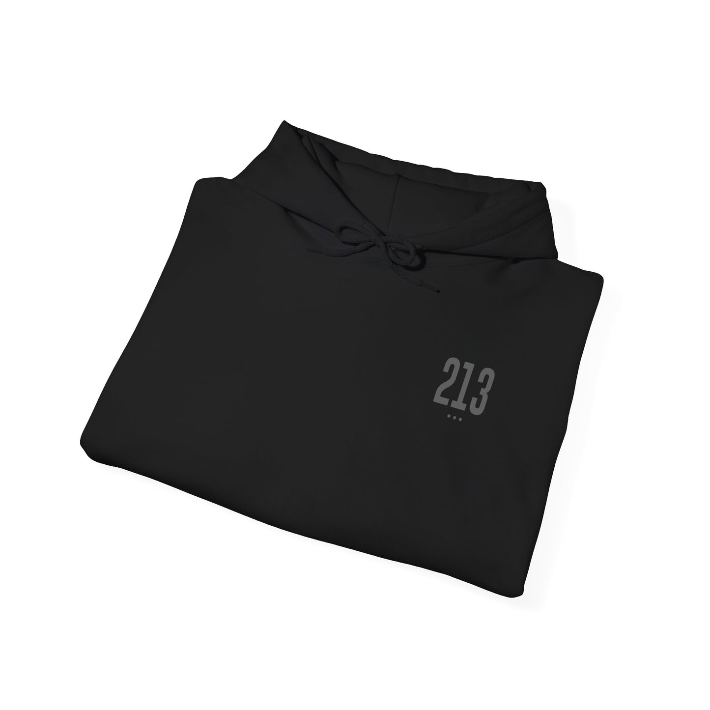 213 Hoodie