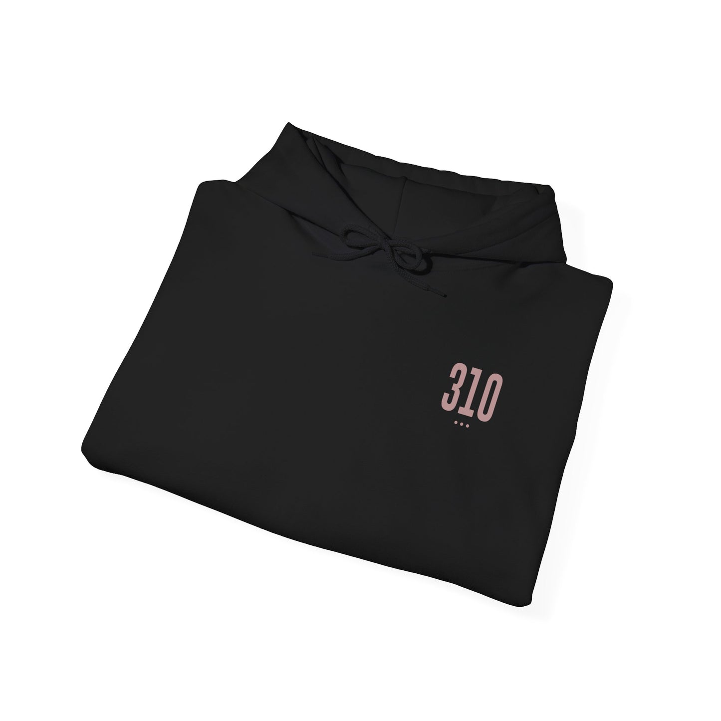 310 Hoodie