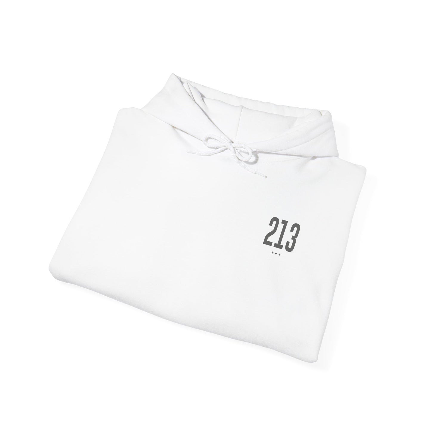213 Hoodie