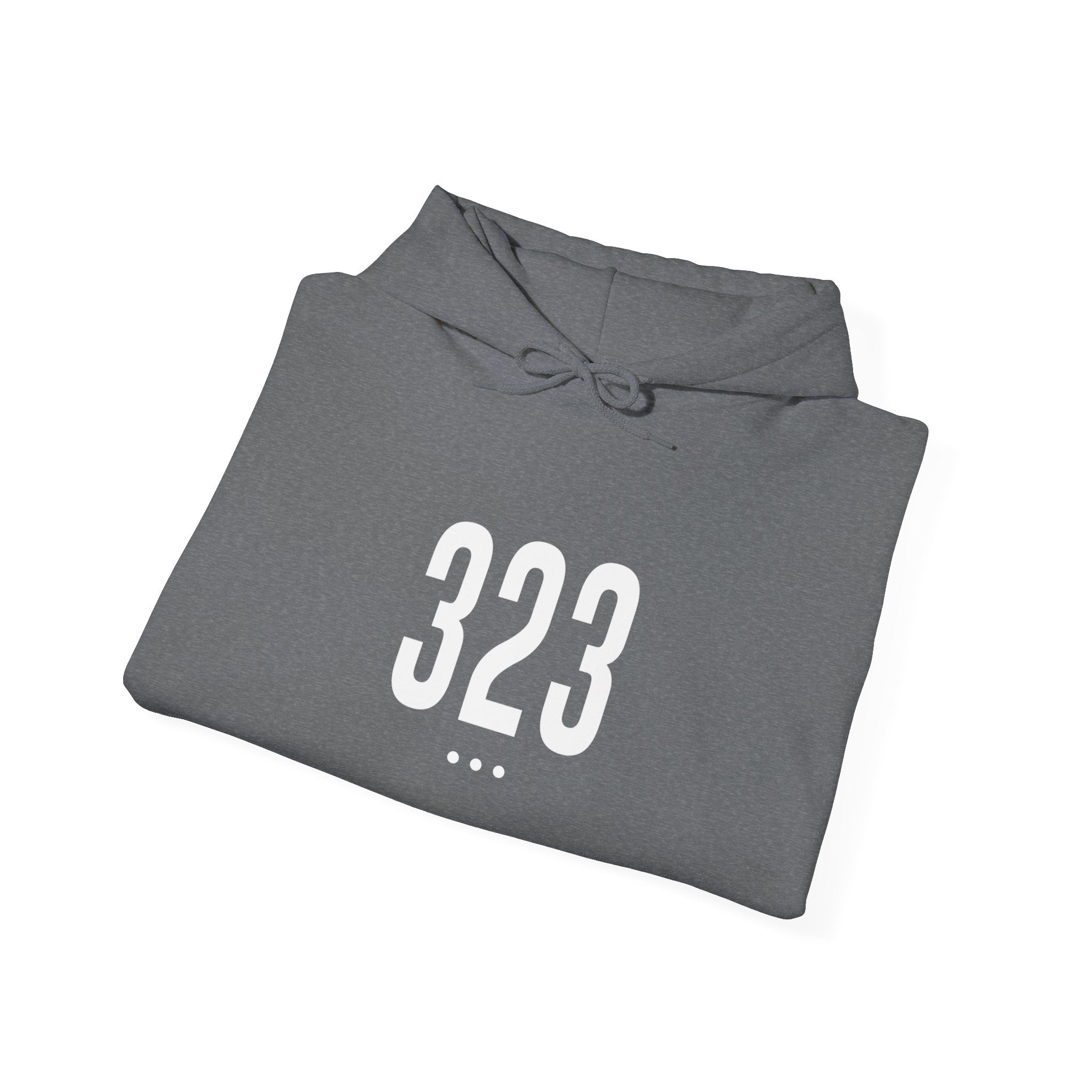 323 Logo Front Hoodie