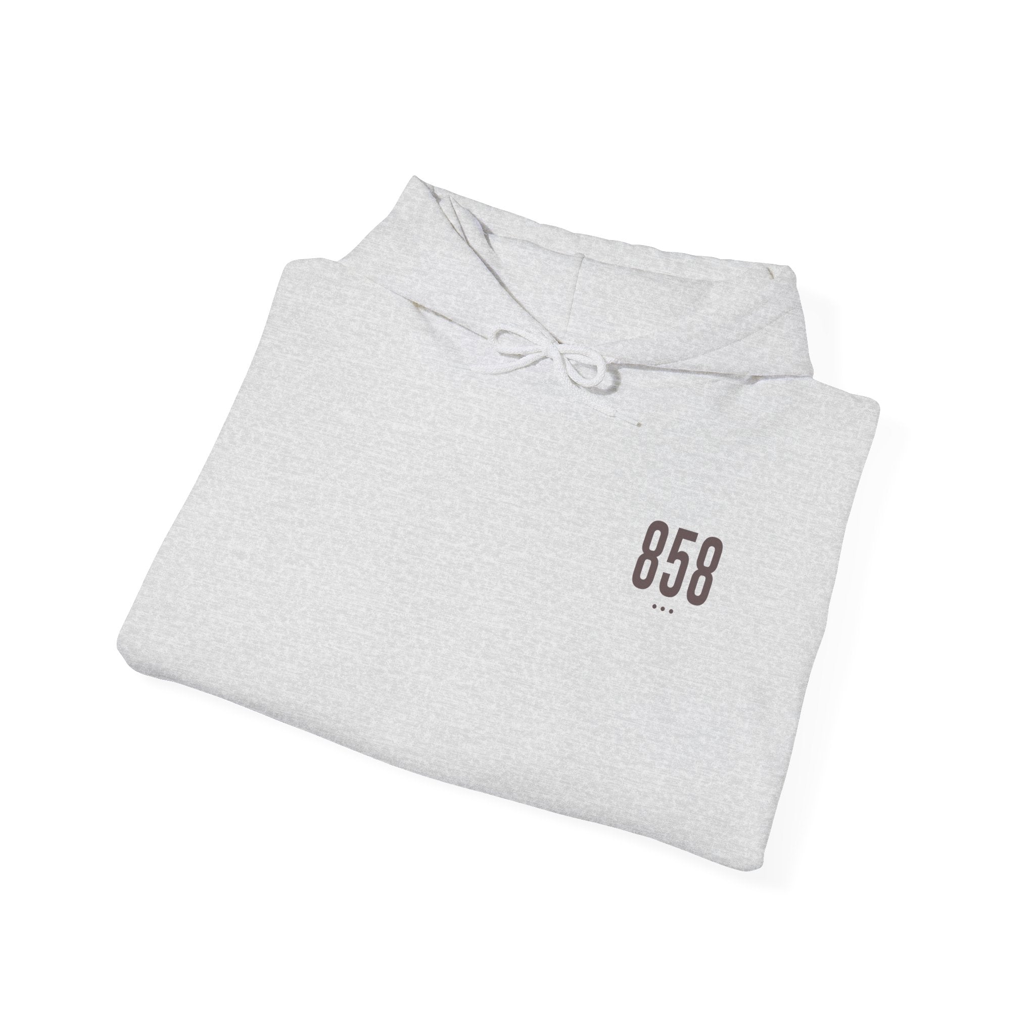 858 Hoodie