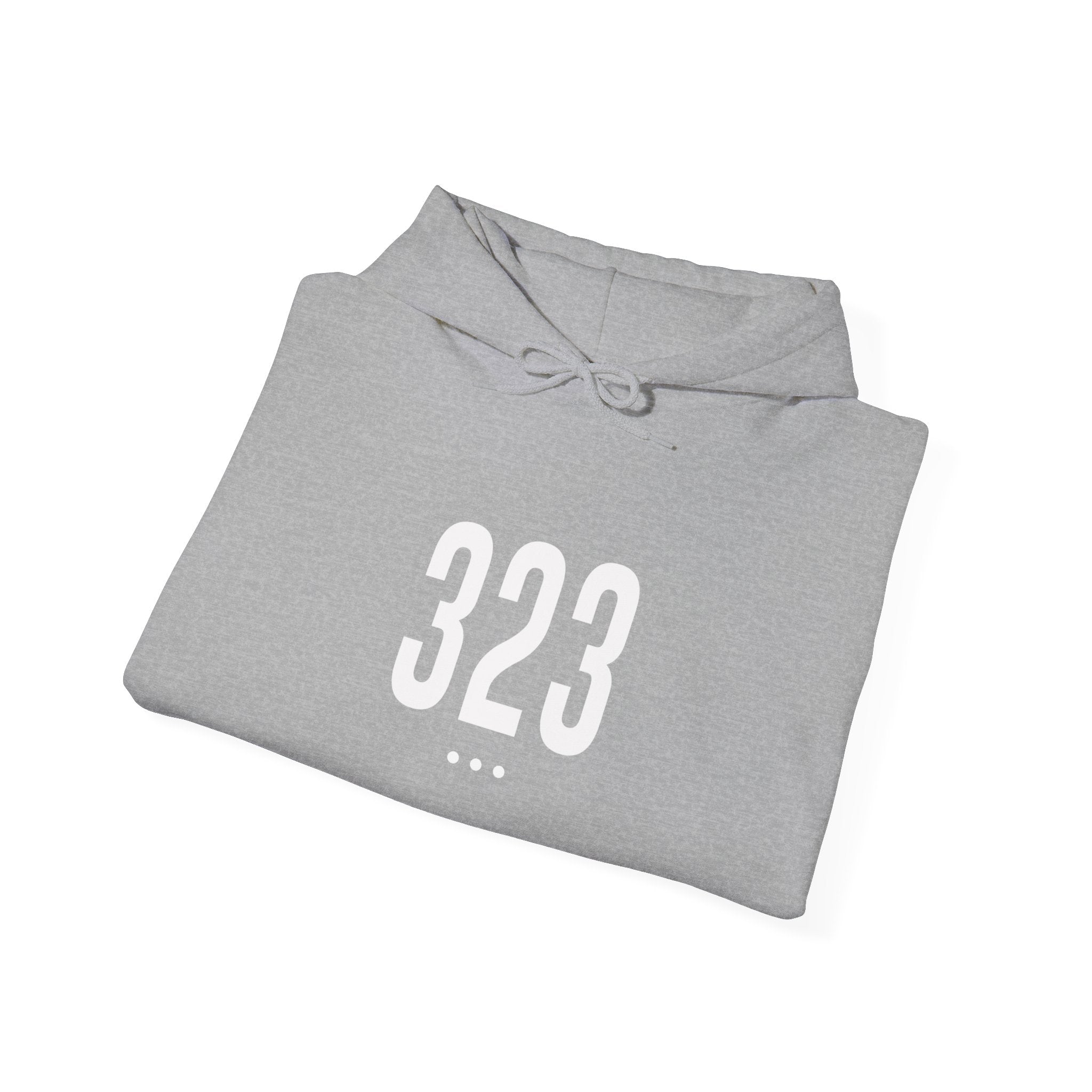 323 Logo Front Hoodie