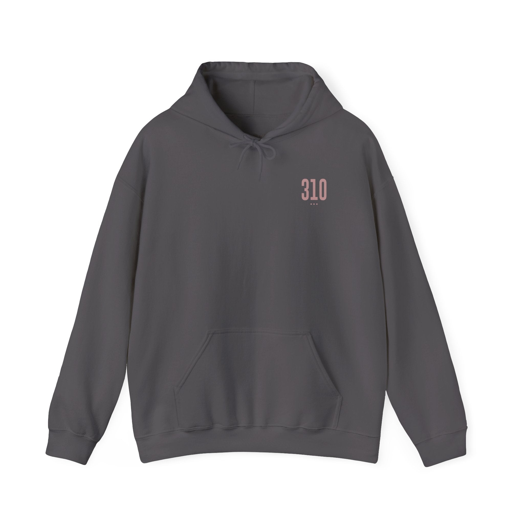 310 Hoodie