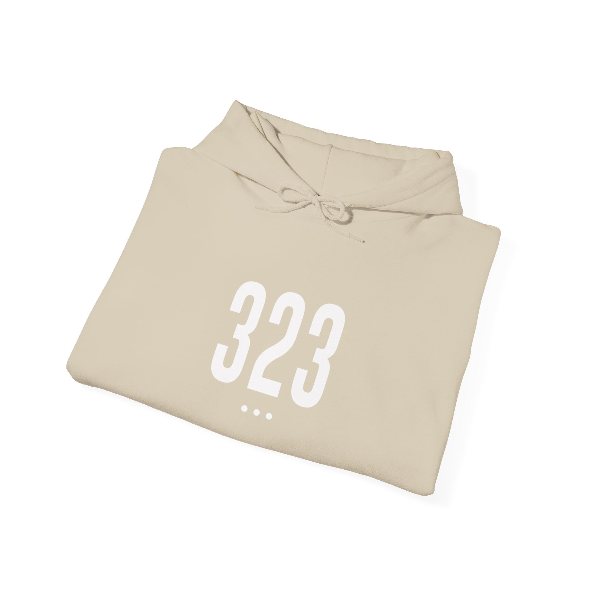 323 Logo Front Hoodie