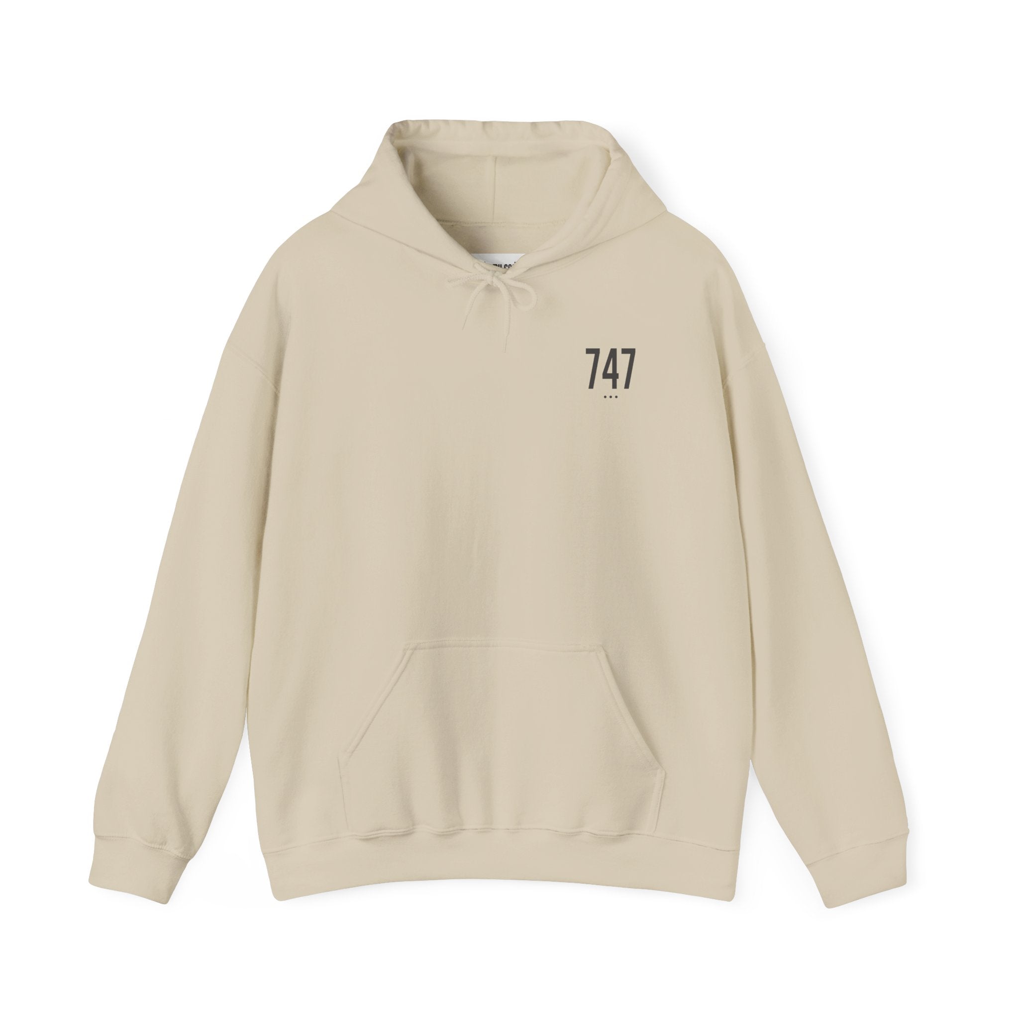 747 Hoodie