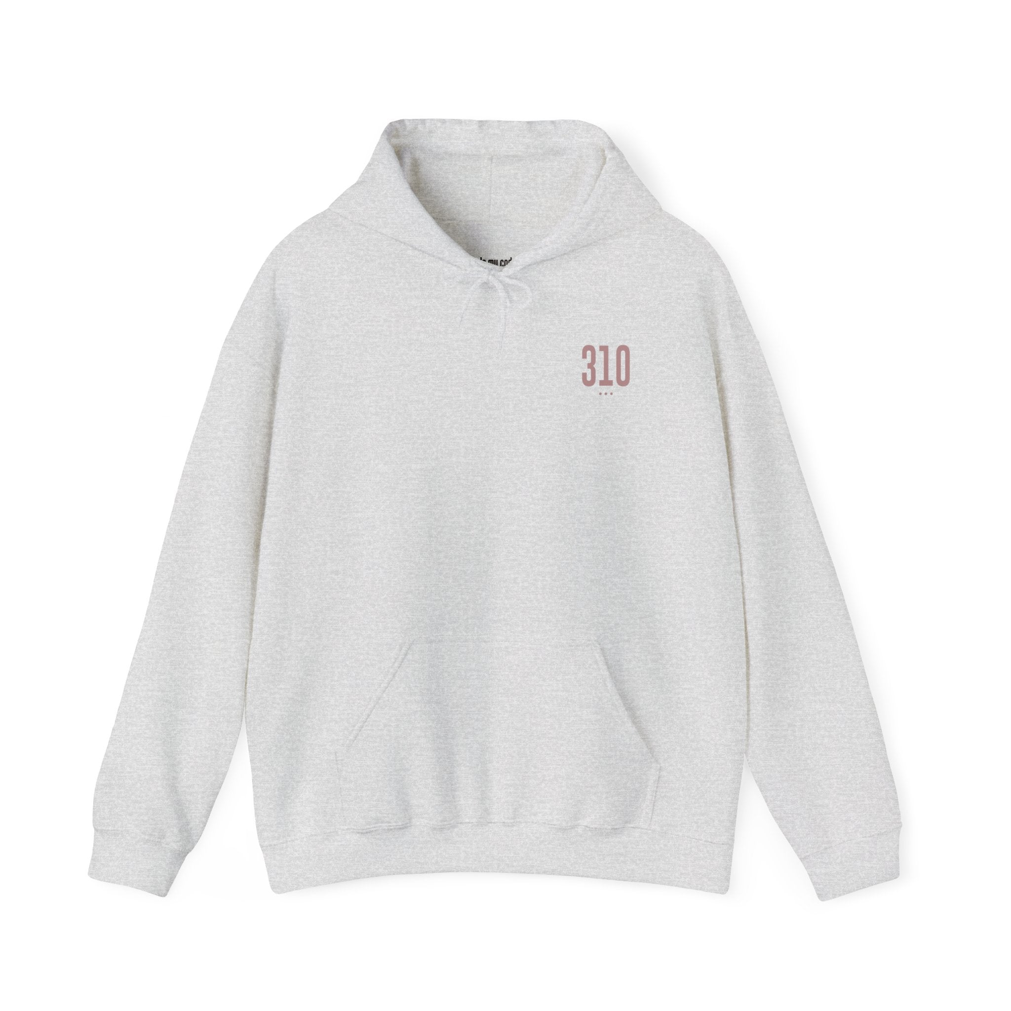 310 Hoodie