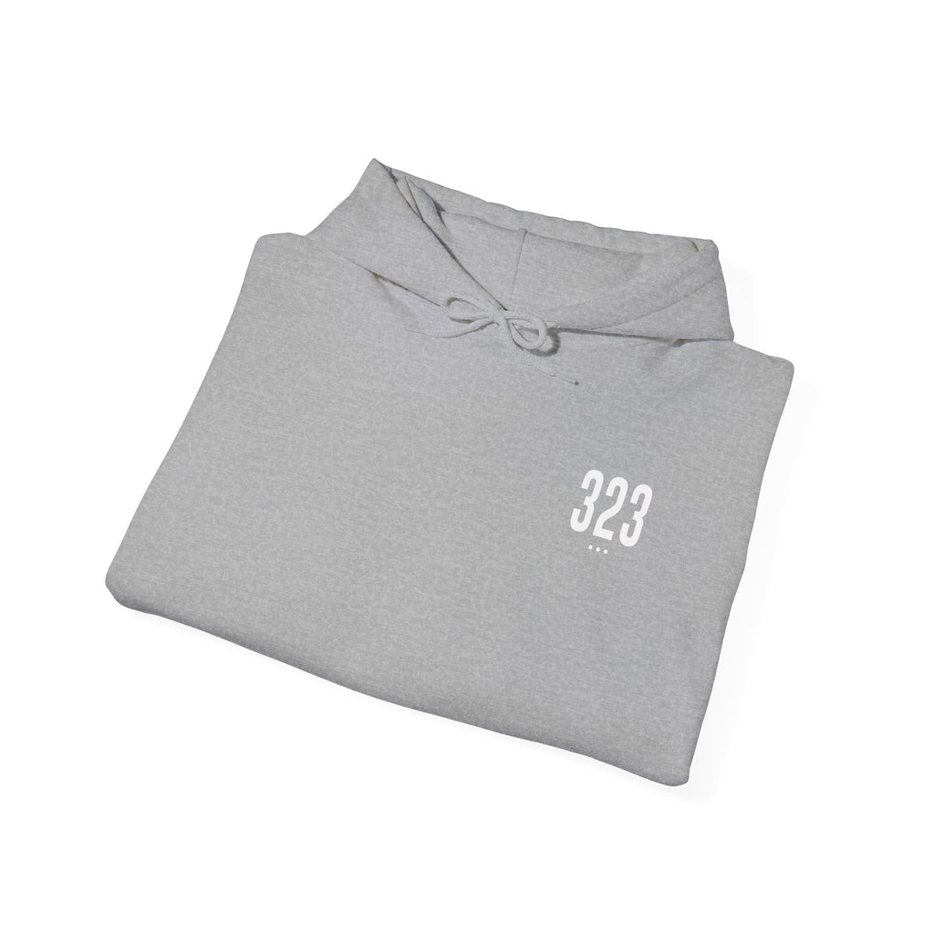 323 Hoodie
